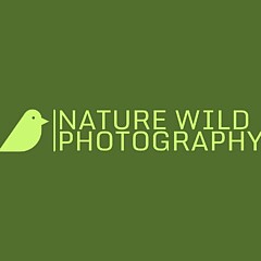 Nature Wild Photography